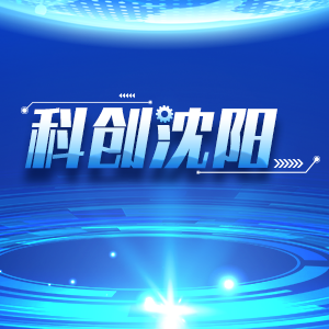 新华网辽宁频道