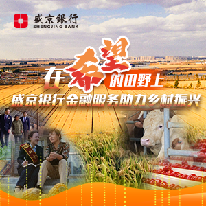 新华网辽宁频道