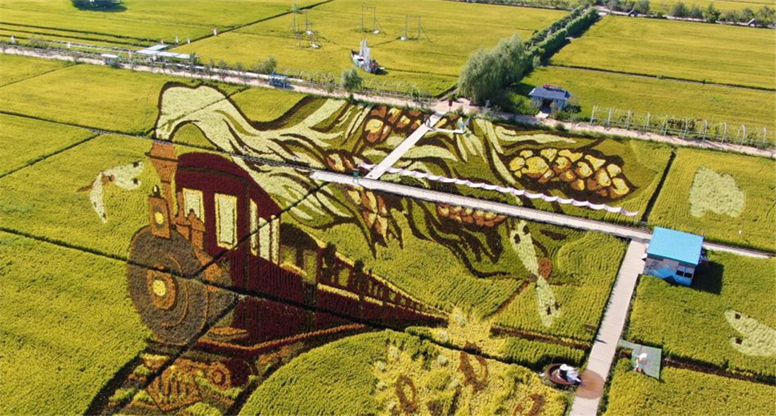 稻田画绘就乡村振兴新画卷