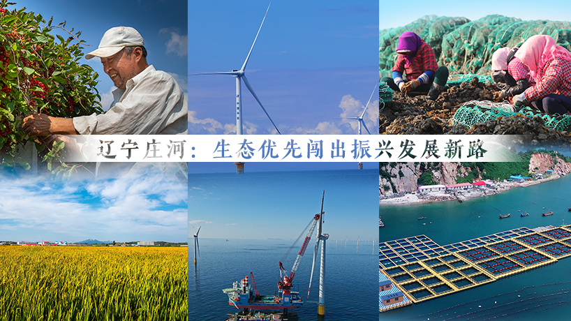 走进县城看发展｜辽宁庄河：生态优先闯出振兴发展新路