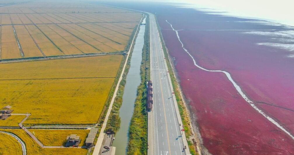 湿地之美丨辽宁辽河三角洲湿地