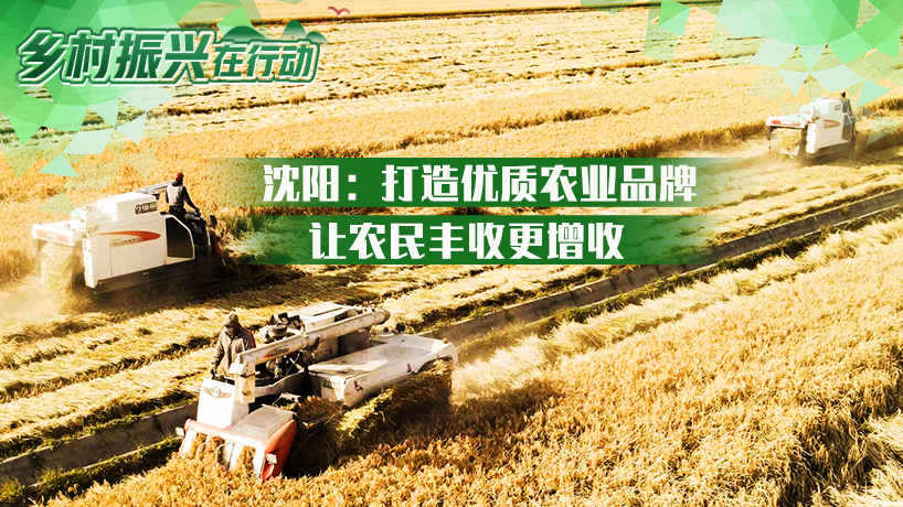 乡村振兴在行动｜沈阳：打造优质农业品牌 让农民丰收更增收