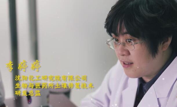 辽宁国企先锋——李婷婷