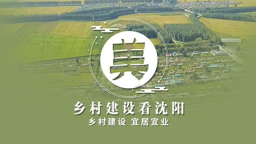 擘画乡村新景象 书写振兴新篇章丨美 乡村建设看沈阳