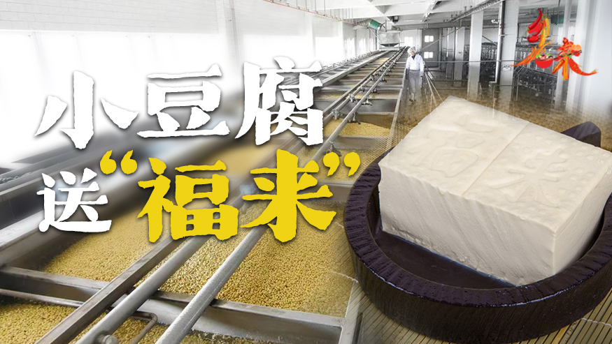 乡味丨辽宁沈阳：小豆腐送“福来”