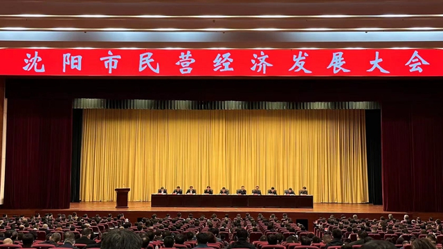 沈阳市打出“组合拳” 全力促进民营经济发展壮大