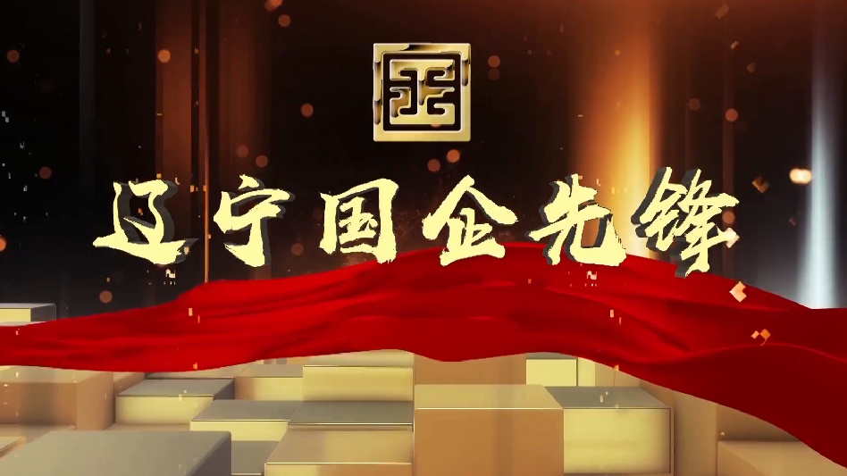辽宁国企先锋——沈阳桃仙国际机场股份有限公司安检中心党总支